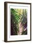 Palm Trees 3-Boho Hue Studio-Framed Art Print