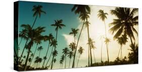 Palm Trees Along the Beach in Morro De Sao Paulo, Tinhare, Cairu, Bahia, Brazil-null-Stretched Canvas