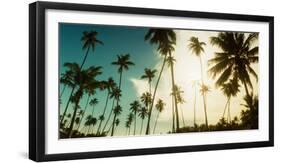 Palm Trees Along the Beach in Morro De Sao Paulo, Tinhare, Cairu, Bahia, Brazil-null-Framed Premium Photographic Print