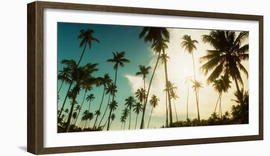 Palm Trees Along the Beach in Morro De Sao Paulo, Tinhare, Cairu, Bahia, Brazil-null-Framed Photographic Print