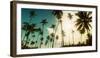 Palm Trees Along the Beach in Morro De Sao Paulo, Tinhare, Cairu, Bahia, Brazil-null-Framed Photographic Print