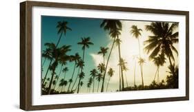 Palm Trees Along the Beach in Morro De Sao Paulo, Tinhare, Cairu, Bahia, Brazil-null-Framed Photographic Print