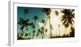 Palm Trees Along the Beach in Morro De Sao Paulo, Tinhare, Cairu, Bahia, Brazil-null-Framed Photographic Print