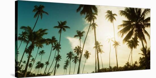 Palm Trees Along the Beach in Morro De Sao Paulo, Tinhare, Cairu, Bahia, Brazil-null-Stretched Canvas
