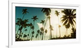 Palm Trees Along the Beach in Morro De Sao Paulo, Tinhare, Cairu, Bahia, Brazil-null-Framed Photographic Print