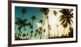 Palm Trees Along the Beach in Morro De Sao Paulo, Tinhare, Cairu, Bahia, Brazil-null-Framed Photographic Print