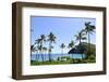 Palm Trees Along the Coast of Waimanalo Bay, Oahu, Hawaii-Stocktrek Images-Framed Photographic Print