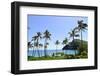 Palm Trees Along the Coast of Waimanalo Bay, Oahu, Hawaii-Stocktrek Images-Framed Photographic Print