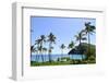 Palm Trees Along the Coast of Waimanalo Bay, Oahu, Hawaii-Stocktrek Images-Framed Photographic Print