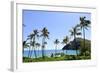 Palm Trees Along the Coast of Waimanalo Bay, Oahu, Hawaii-Stocktrek Images-Framed Photographic Print