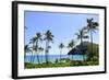 Palm Trees Along the Coast of Waimanalo Bay, Oahu, Hawaii-Stocktrek Images-Framed Photographic Print