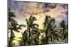 Palm trees along the coastal road, going into the mountains, Bali, Indonesia-Greg Johnston-Mounted Photographic Print