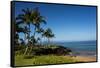 Palm Trees and Beach along the Southern Maui-Terry Eggers-Framed Stretched Canvas