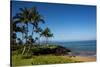 Palm Trees and Beach along the Southern Maui-Terry Eggers-Stretched Canvas