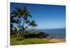 Palm Trees and Beach along the Southern Maui-Terry Eggers-Framed Photographic Print