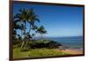 Palm Trees and Beach along the Southern Maui-Terry Eggers-Framed Photographic Print