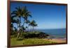 Palm Trees and Beach along the Southern Maui-Terry Eggers-Framed Photographic Print
