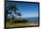 Palm Trees and Beach along the Southern Maui-Terry Eggers-Framed Photographic Print