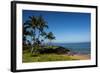 Palm Trees and Beach along the Southern Maui-Terry Eggers-Framed Photographic Print