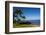 Palm Trees and Beach along the Southern Maui-Terry Eggers-Framed Photographic Print