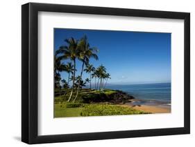 Palm Trees and Beach along the Southern Maui-Terry Eggers-Framed Photographic Print