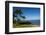 Palm Trees and Beach along the Southern Maui-Terry Eggers-Framed Photographic Print