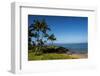 Palm Trees and Beach along the Southern Maui-Terry Eggers-Framed Photographic Print