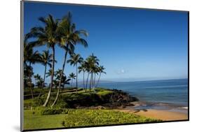 Palm Trees and Beach along the Southern Maui-Terry Eggers-Mounted Photographic Print