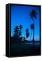 Palm Trees and Beach at Dusk-Frank Fell-Framed Stretched Canvas