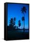 Palm Trees and Beach at Dusk-Frank Fell-Framed Stretched Canvas