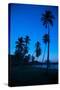 Palm Trees and Beach at Dusk-Frank Fell-Stretched Canvas