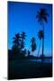 Palm Trees and Beach at Dusk-Frank Fell-Mounted Photographic Print