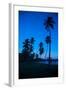 Palm Trees and Beach at Dusk-Frank Fell-Framed Photographic Print