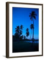 Palm Trees and Beach at Dusk-Frank Fell-Framed Photographic Print