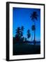 Palm Trees and Beach at Dusk-Frank Fell-Framed Photographic Print