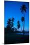 Palm Trees and Beach at Dusk-Frank Fell-Mounted Photographic Print