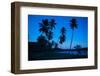 Palm Trees and Beach at Dusk-Frank Fell-Framed Photographic Print