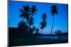 Palm Trees and Beach at Dusk-Frank Fell-Mounted Photographic Print