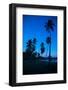 Palm Trees and Beach at Dusk-Frank Fell-Framed Photographic Print