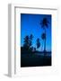 Palm Trees and Beach at Dusk-Frank Fell-Framed Photographic Print