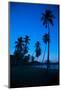Palm Trees and Beach at Dusk-Frank Fell-Mounted Photographic Print