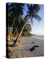 Palm Trees and Beach at Sunset, Western Samoa, South Pacific Islands, Pacific-Maurice Joseph-Stretched Canvas