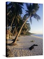 Palm Trees and Beach at Sunset, Western Samoa, South Pacific Islands, Pacific-Maurice Joseph-Stretched Canvas