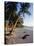 Palm Trees and Beach at Sunset, Western Samoa, South Pacific Islands, Pacific-Maurice Joseph-Stretched Canvas