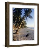 Palm Trees and Beach at Sunset, Western Samoa, South Pacific Islands, Pacific-Maurice Joseph-Framed Photographic Print