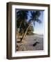 Palm Trees and Beach at Sunset, Western Samoa, South Pacific Islands, Pacific-Maurice Joseph-Framed Photographic Print