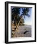 Palm Trees and Beach at Sunset, Western Samoa, South Pacific Islands, Pacific-Maurice Joseph-Framed Photographic Print