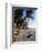 Palm Trees and Beach at Sunset, Western Samoa, South Pacific Islands, Pacific-Maurice Joseph-Framed Photographic Print