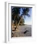 Palm Trees and Beach at Sunset, Western Samoa, South Pacific Islands, Pacific-Maurice Joseph-Framed Photographic Print