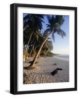 Palm Trees and Beach at Sunset, Western Samoa, South Pacific Islands, Pacific-Maurice Joseph-Framed Photographic Print